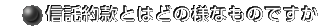 M񊼂Ƃ͂ǂ̗lȂ̂ł